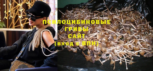 дурь Абаза